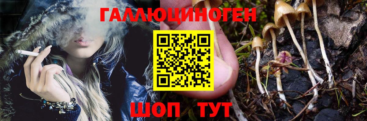 Псилоцибиновые грибы GOLDEN TEACHER Саров