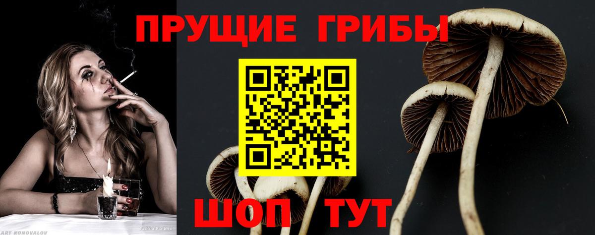 Галлюциногенные грибы GOLDEN TEACHER  Вход с VPN  Саров 
